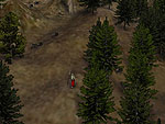 The Woods Out Back Screenshot 4